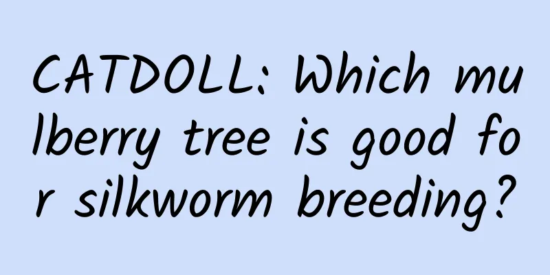 CATDOLL: Which mulberry tree is good for silkworm breeding?
