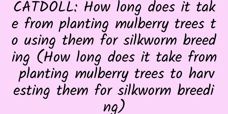 CATDOLL: How long does it take from planting mulberry trees to using them for silkworm breeding (How long does it take from planting mulberry trees to harvesting them for silkworm breeding)