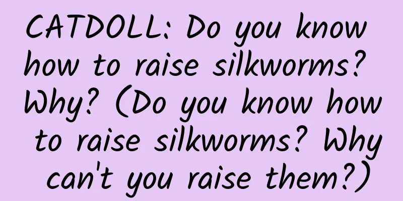 CATDOLL: Do you know how to raise silkworms? Why? (Do you know how to raise silkworms? Why can't you raise them?)