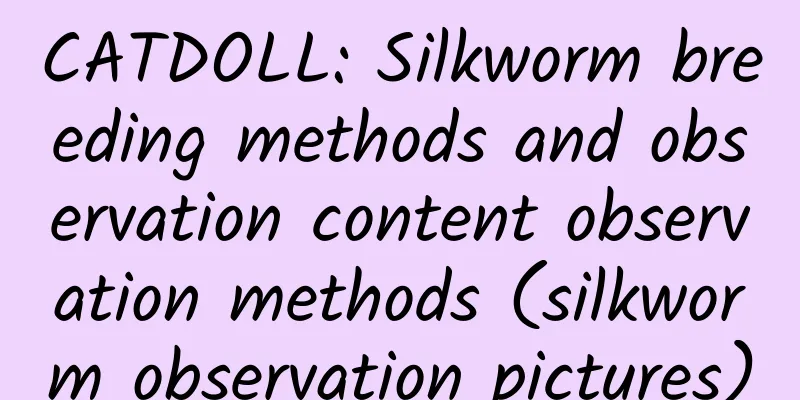 CATDOLL: Silkworm breeding methods and observation content observation methods (silkworm observation pictures)
