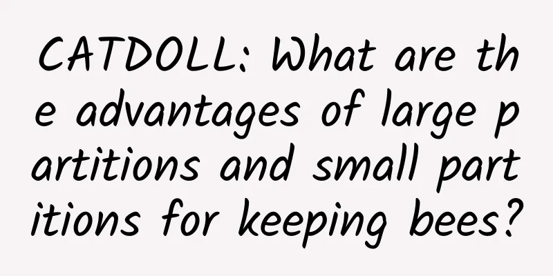 CATDOLL: What are the advantages of large partitions and small partitions for keeping bees?