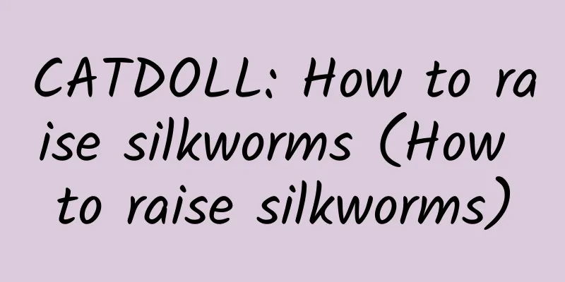 CATDOLL: How to raise silkworms (How to raise silkworms)