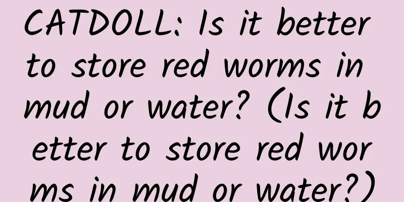 CATDOLL: Is it better to store red worms in mud or water? (Is it better to store red worms in mud or water?)