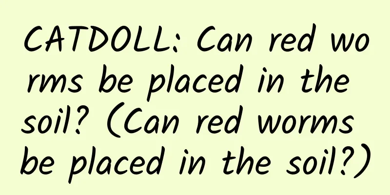 CATDOLL: Can red worms be placed in the soil? (Can red worms be placed in the soil?)