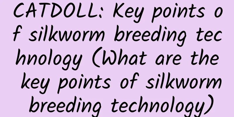 CATDOLL: Key points of silkworm breeding technology (What are the key points of silkworm breeding technology)