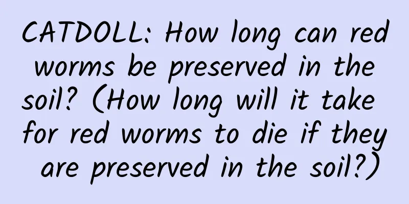 CATDOLL: How long can red worms be preserved in the soil? (How long will it take for red worms to die if they are preserved in the soil?)