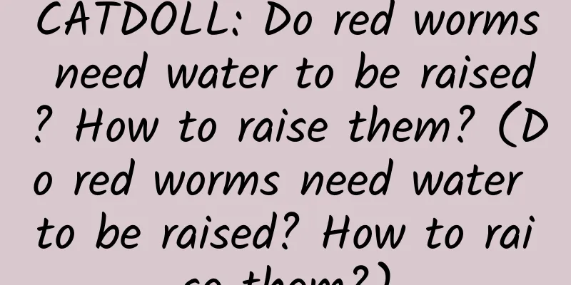 CATDOLL: Do red worms need water to be raised? How to raise them? (Do red worms need water to be raised? How to raise them?)