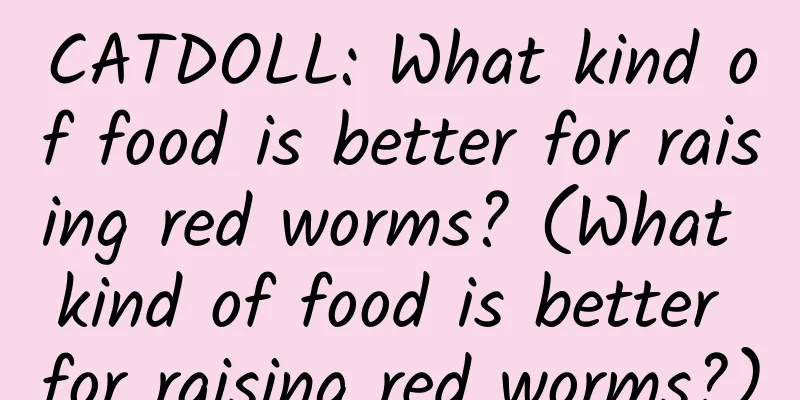 CATDOLL: What kind of food is better for raising red worms? (What kind of food is better for raising red worms?)
