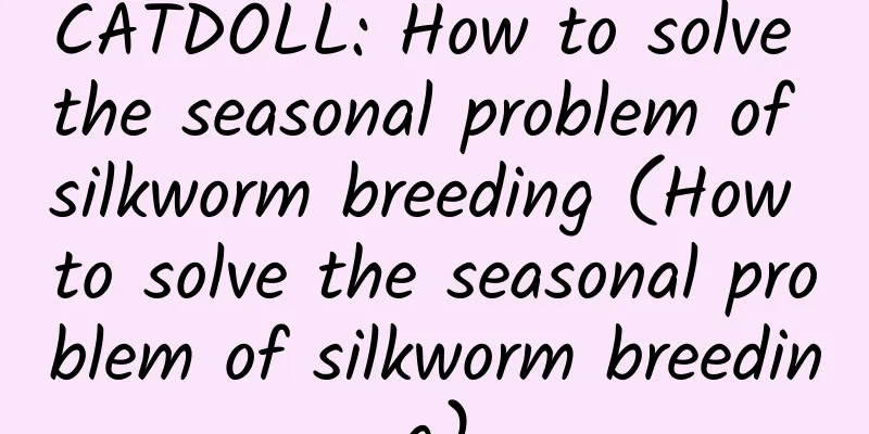 CATDOLL: How to solve the seasonal problem of silkworm breeding (How to solve the seasonal problem of silkworm breeding)