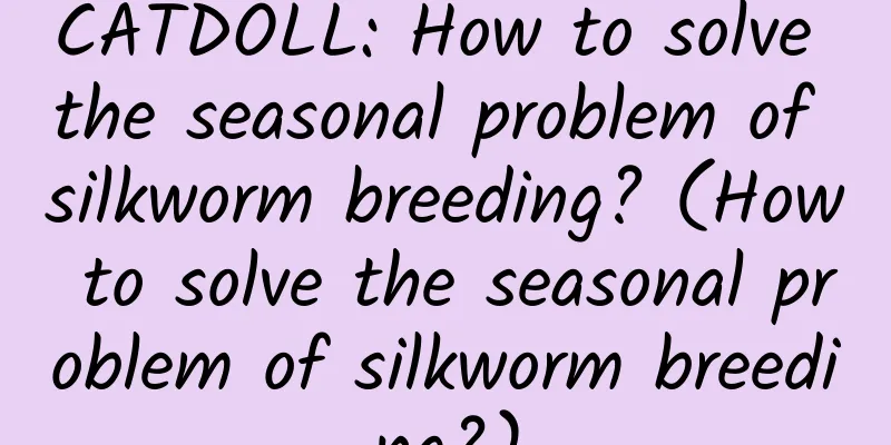 CATDOLL: How to solve the seasonal problem of silkworm breeding? (How to solve the seasonal problem of silkworm breeding?)