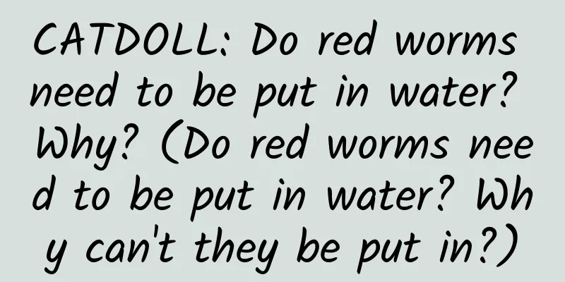 CATDOLL: Do red worms need to be put in water? Why? (Do red worms need to be put in water? Why can't they be put in?)