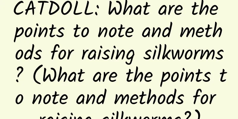 CATDOLL: What are the points to note and methods for raising silkworms? (What are the points to note and methods for raising silkworms?)