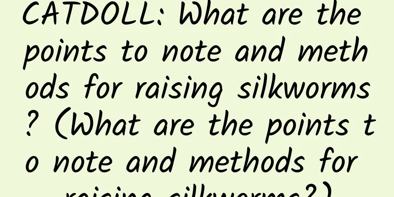 CATDOLL: What are the points to note and methods for raising silkworms? (What are the points to note and methods for raising silkworms?)
