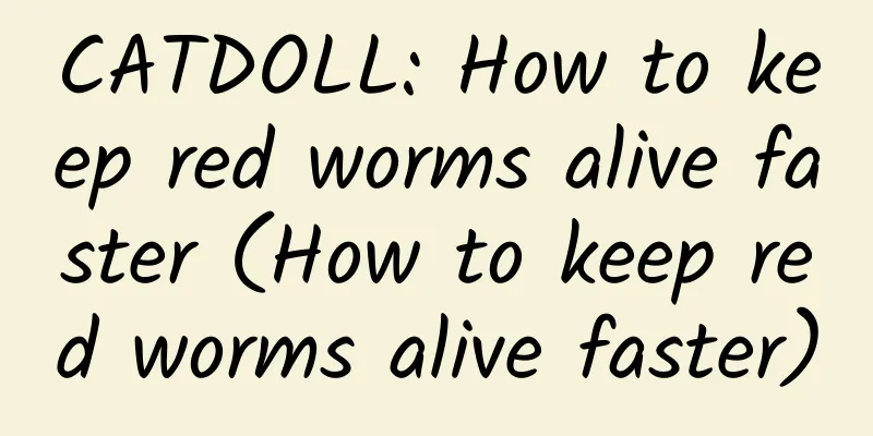 CATDOLL: How to keep red worms alive faster (How to keep red worms alive faster)