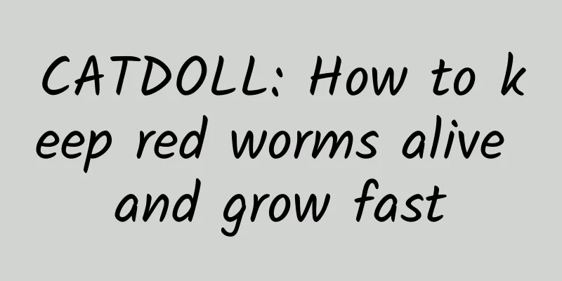 CATDOLL: How to keep red worms alive and grow fast
