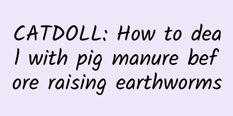 CATDOLL: How to deal with pig manure before raising earthworms