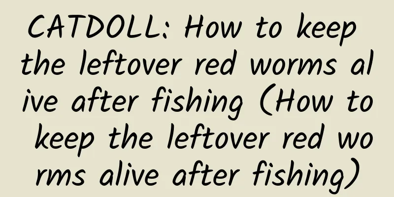 CATDOLL: How to keep the leftover red worms alive after fishing (How to keep the leftover red worms alive after fishing)
