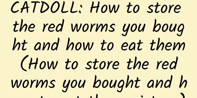 CATDOLL: How to store the red worms you bought and how to eat them (How to store the red worms you bought and how to eat them picture)