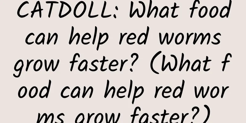 CATDOLL: What food can help red worms grow faster? (What food can help red worms grow faster?)