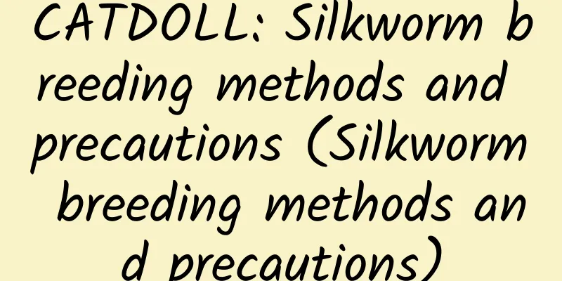 CATDOLL: Silkworm breeding methods and precautions (Silkworm breeding methods and precautions)
