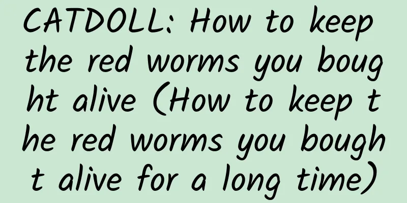 CATDOLL: How to keep the red worms you bought alive (How to keep the red worms you bought alive for a long time)