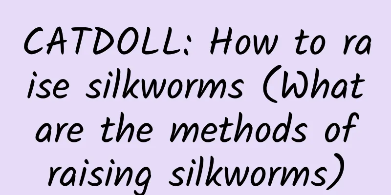 CATDOLL: How to raise silkworms (What are the methods of raising silkworms)