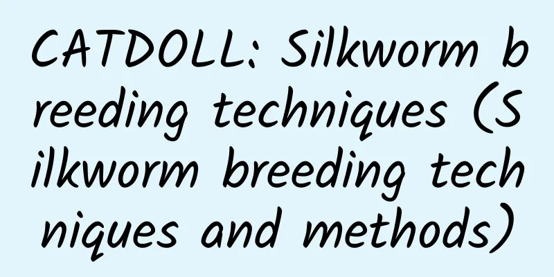 CATDOLL: Silkworm breeding techniques (Silkworm breeding techniques and methods)