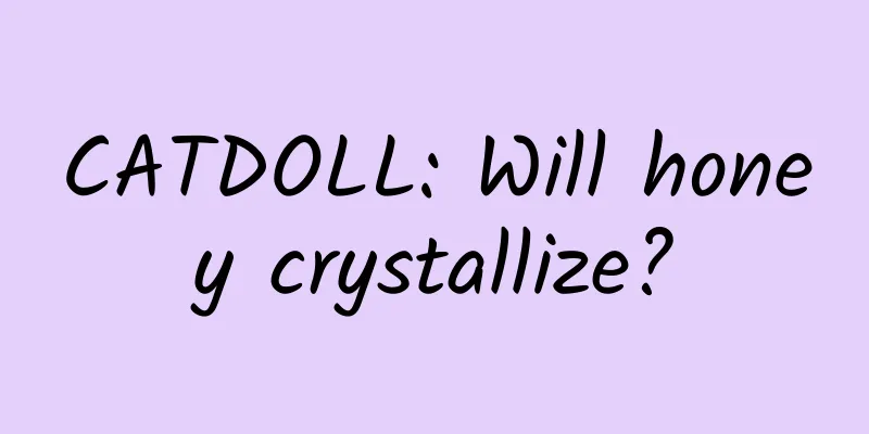 CATDOLL: Will honey crystallize?