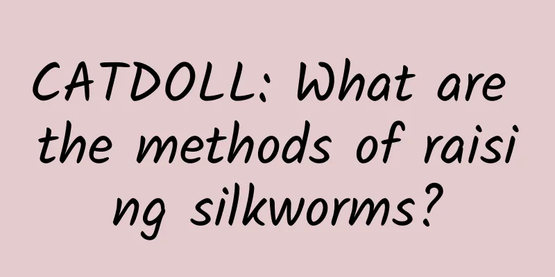 CATDOLL: What are the methods of raising silkworms?