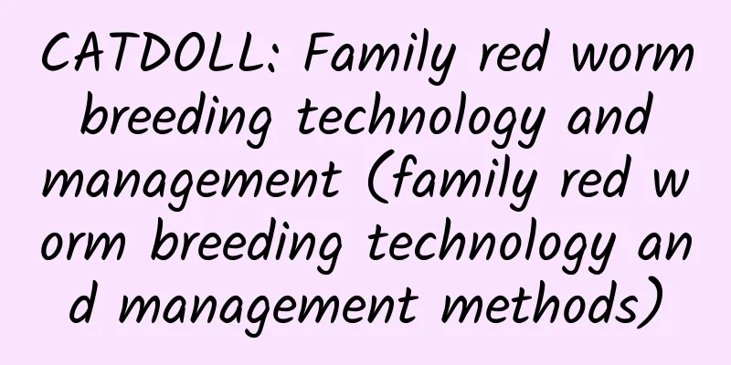 CATDOLL: Family red worm breeding technology and management (family red worm breeding technology and management methods)