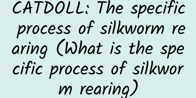 CATDOLL: The specific process of silkworm rearing (What is the specific process of silkworm rearing)