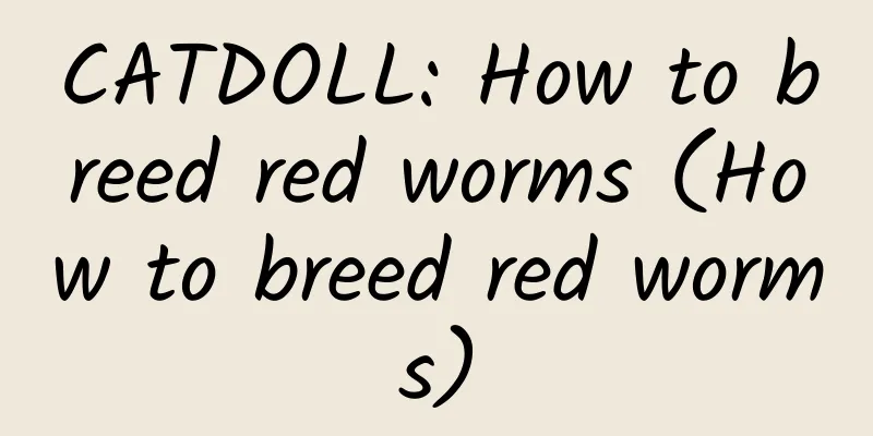 CATDOLL: How to breed red worms (How to breed red worms)