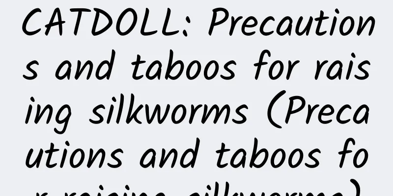 CATDOLL: Precautions and taboos for raising silkworms (Precautions and taboos for raising silkworms)