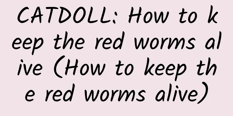 CATDOLL: How to keep the red worms alive (How to keep the red worms alive)
