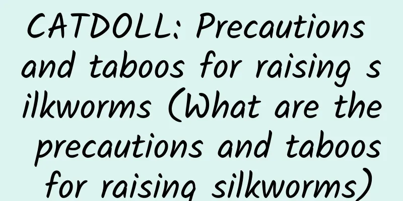 CATDOLL: Precautions and taboos for raising silkworms (What are the precautions and taboos for raising silkworms)