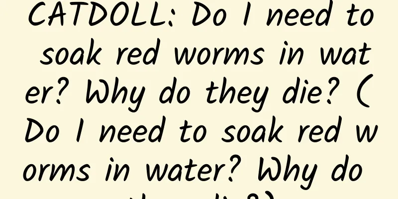 CATDOLL: Do I need to soak red worms in water? Why do they die? (Do I need to soak red worms in water? Why do they die?)