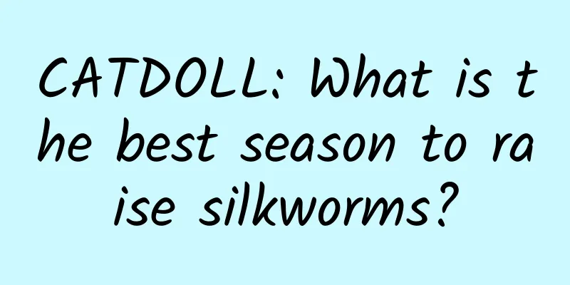 CATDOLL: What is the best season to raise silkworms?