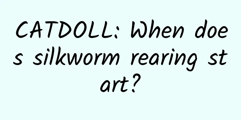 CATDOLL: When does silkworm rearing start?