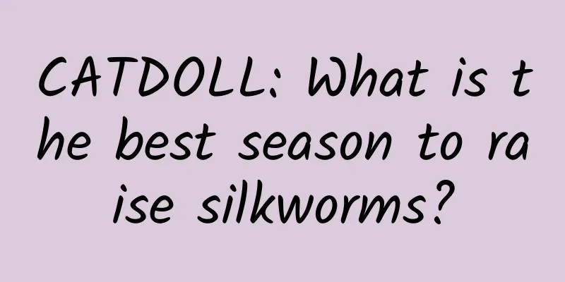 CATDOLL: What is the best season to raise silkworms?
