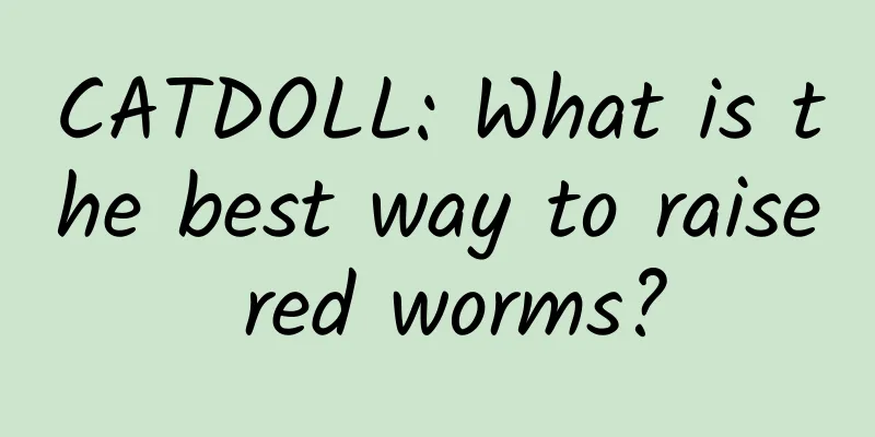 CATDOLL: What is the best way to raise red worms?