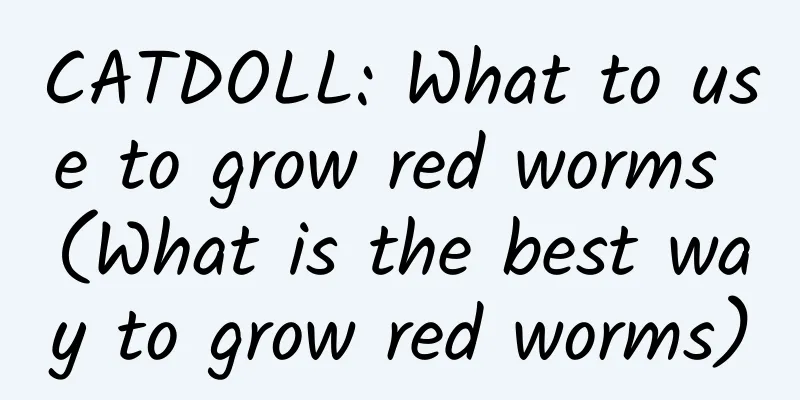 CATDOLL: What to use to grow red worms (What is the best way to grow red worms)