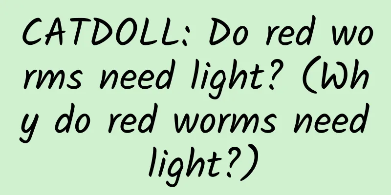 CATDOLL: Do red worms need light? (Why do red worms need light?)