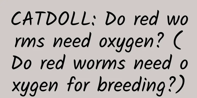 CATDOLL: Do red worms need oxygen? (Do red worms need oxygen for breeding?)