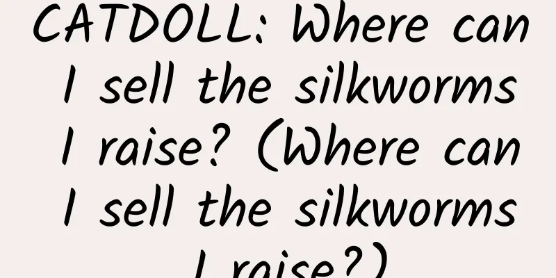 CATDOLL: Where can I sell the silkworms I raise? (Where can I sell the silkworms I raise?)