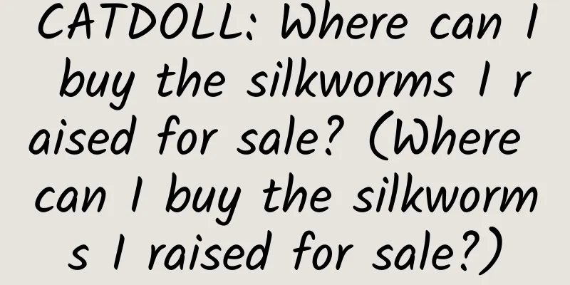 CATDOLL: Where can I buy the silkworms I raised for sale? (Where can I buy the silkworms I raised for sale?)