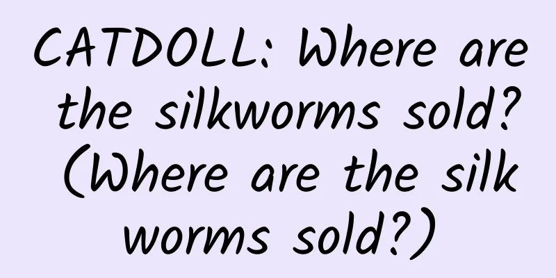 CATDOLL: Where are the silkworms sold? (Where are the silkworms sold?)