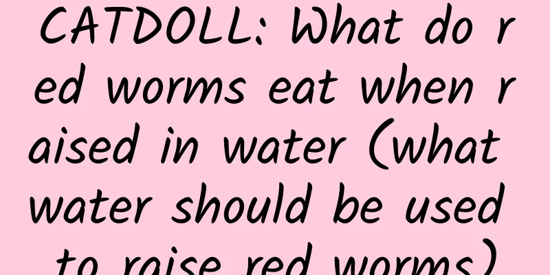 CATDOLL: What do red worms eat when raised in water (what water should be used to raise red worms)