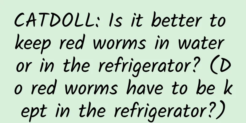 CATDOLL: Is it better to keep red worms in water or in the refrigerator? (Do red worms have to be kept in the refrigerator?)