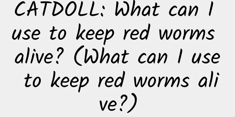 CATDOLL: What can I use to keep red worms alive? (What can I use to keep red worms alive?)