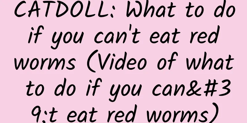 CATDOLL: What to do if you can't eat red worms (Video of what to do if you can't eat red worms)